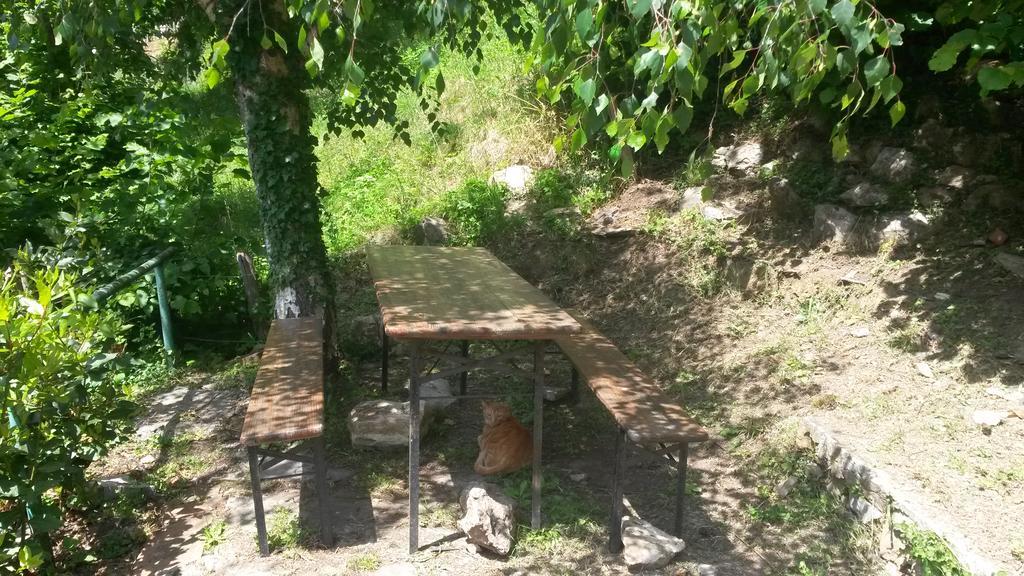 Apartament Altrove Ne Zewnętrze zdjęcie